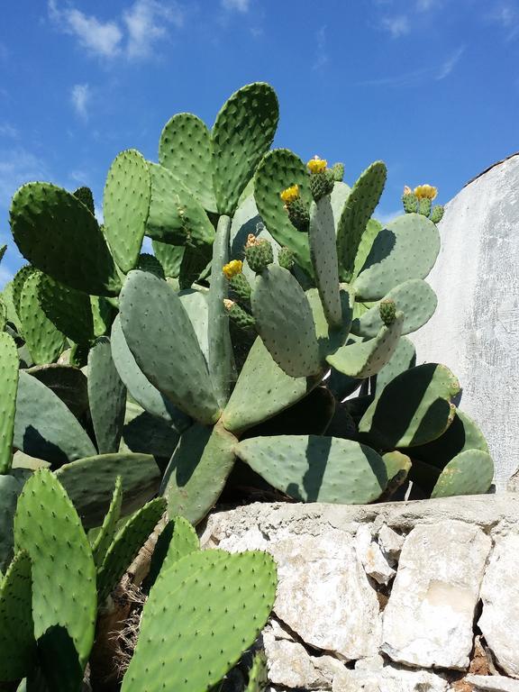 Il Melograno Bed & Breakfast Ceglie Messapica Eksteriør bilde