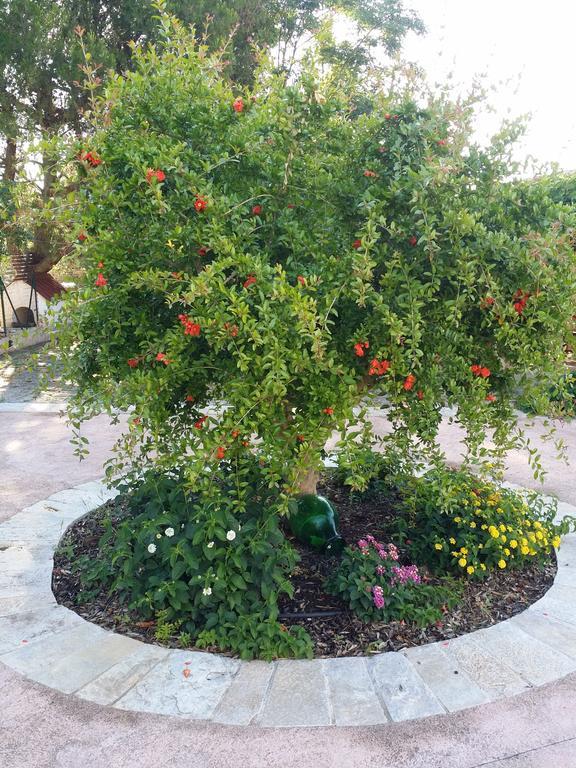 Il Melograno Bed & Breakfast Ceglie Messapica Eksteriør bilde